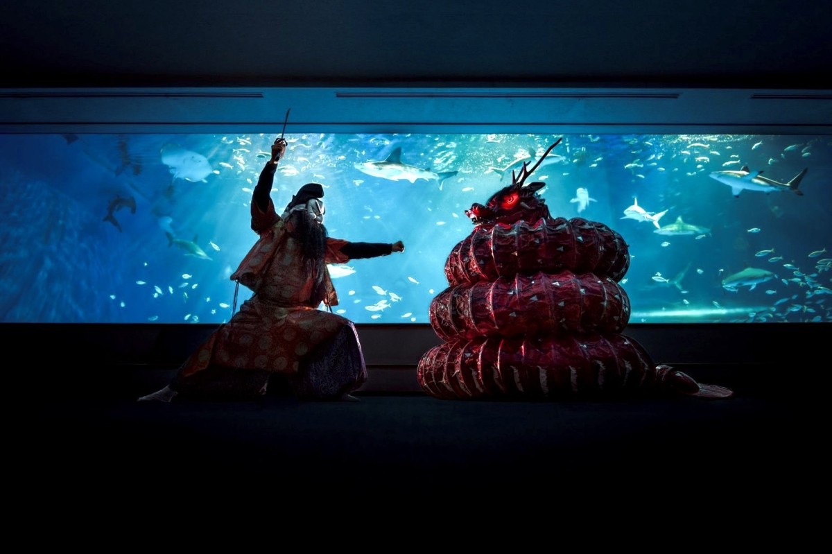 島根県浜田市にある水族館『しまね海洋館アクアス』で開催される「ナイトアクアス×石見神楽」のイメージ