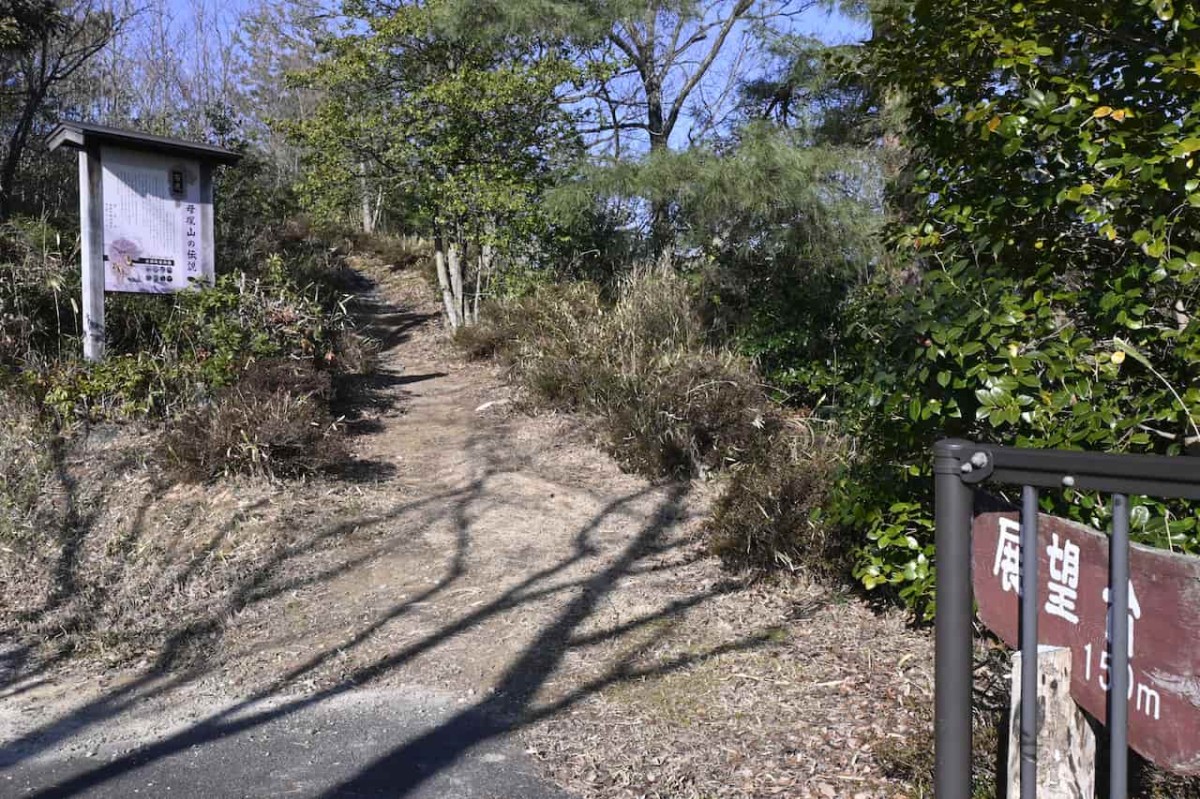 鳥取県南部町にある「母塚山展望台」の散策路