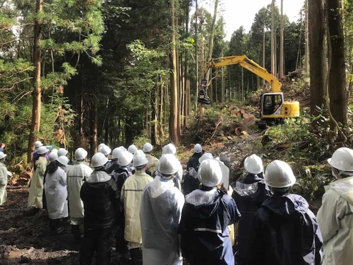 高等学校での林業学習「伐採現場研修」の様子
