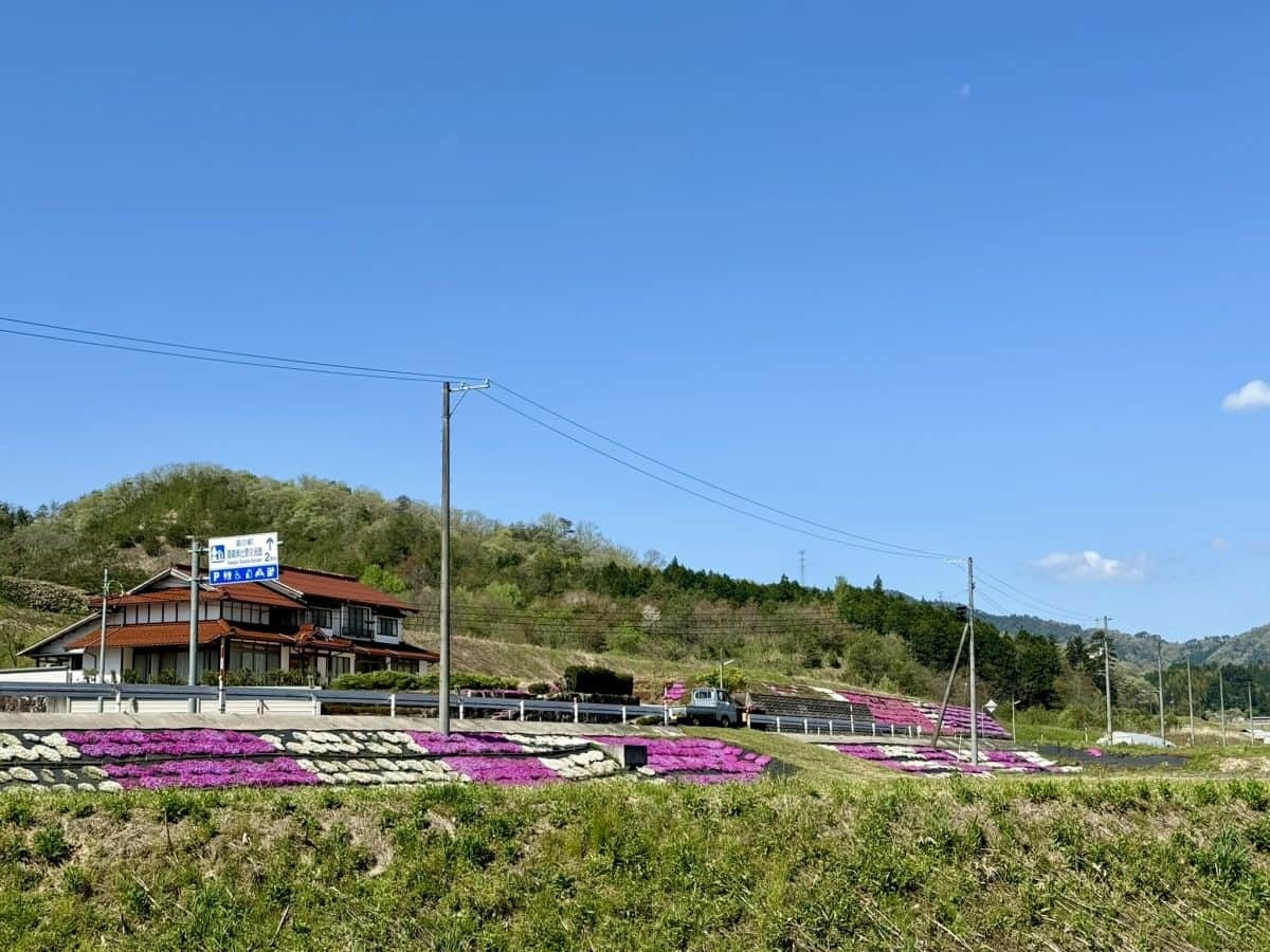 島根県奥出雲町亀嵩に広がる芝桜スポット『しばざくらの郷』の景色