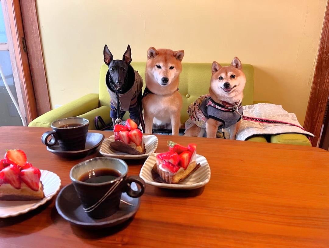 島根県松江市『cafe結』の利用イメージ