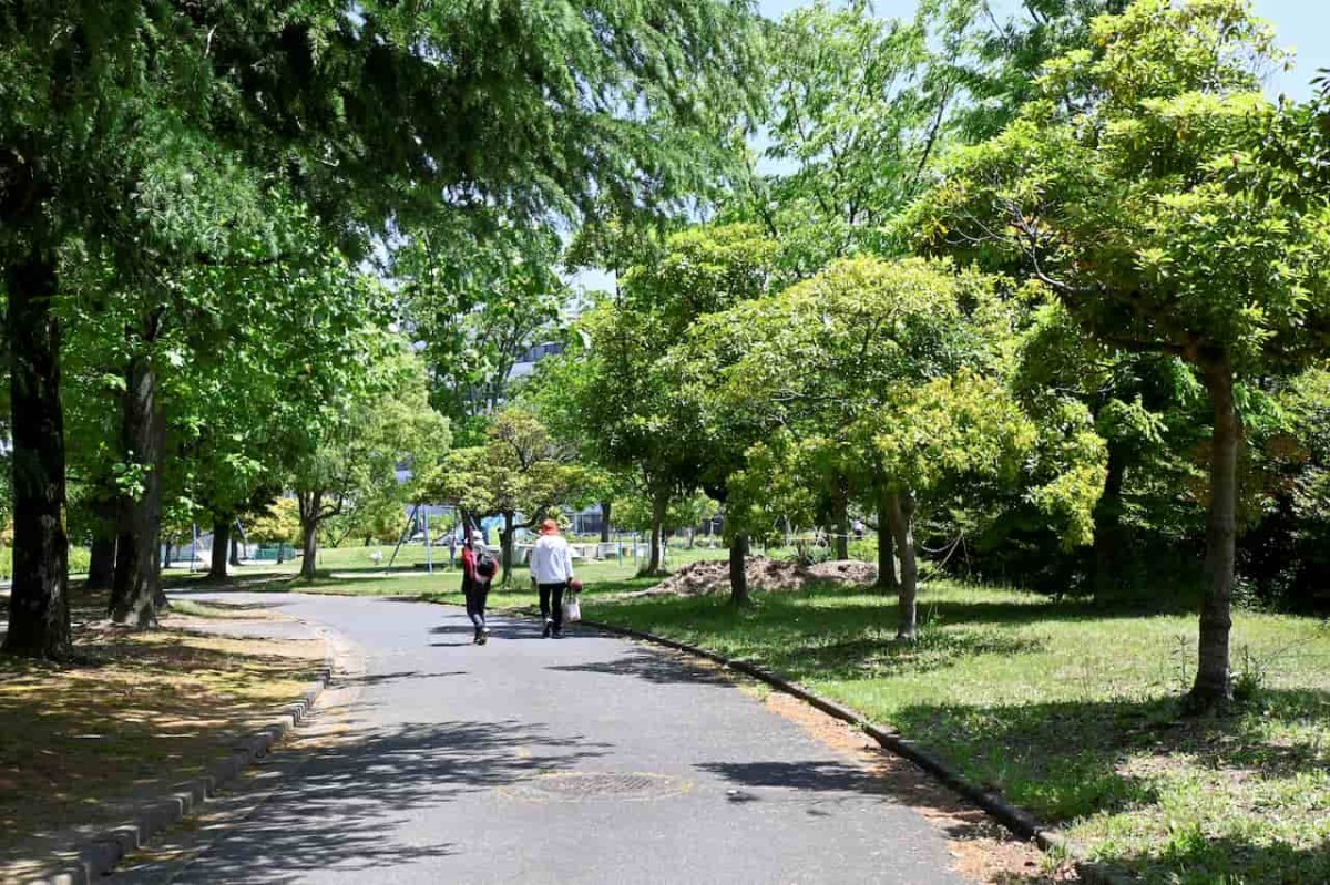 鳥取県鳥取市にある『美保公園』の散策路