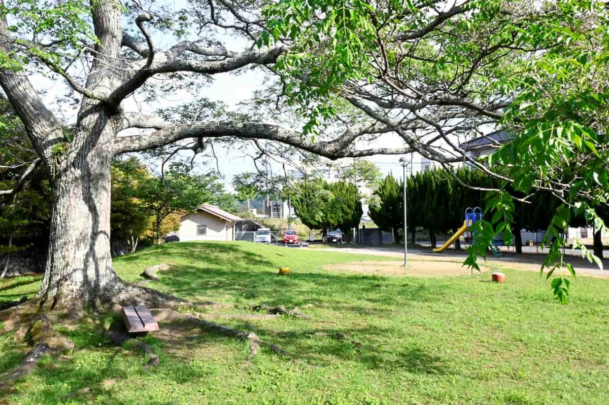 島根県益田市にある『雪舟橋公園』の様子