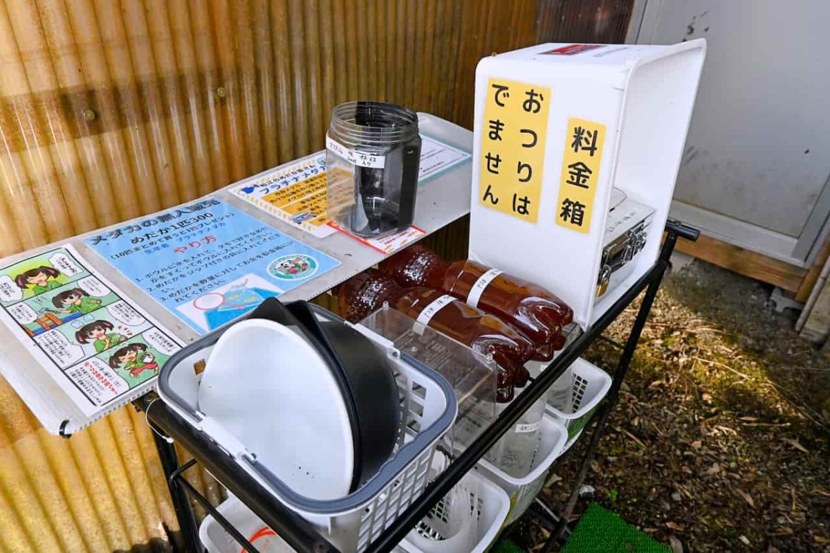 雲南市大東町の『大東百彩市』内にあるメダカ無人販売所の様子