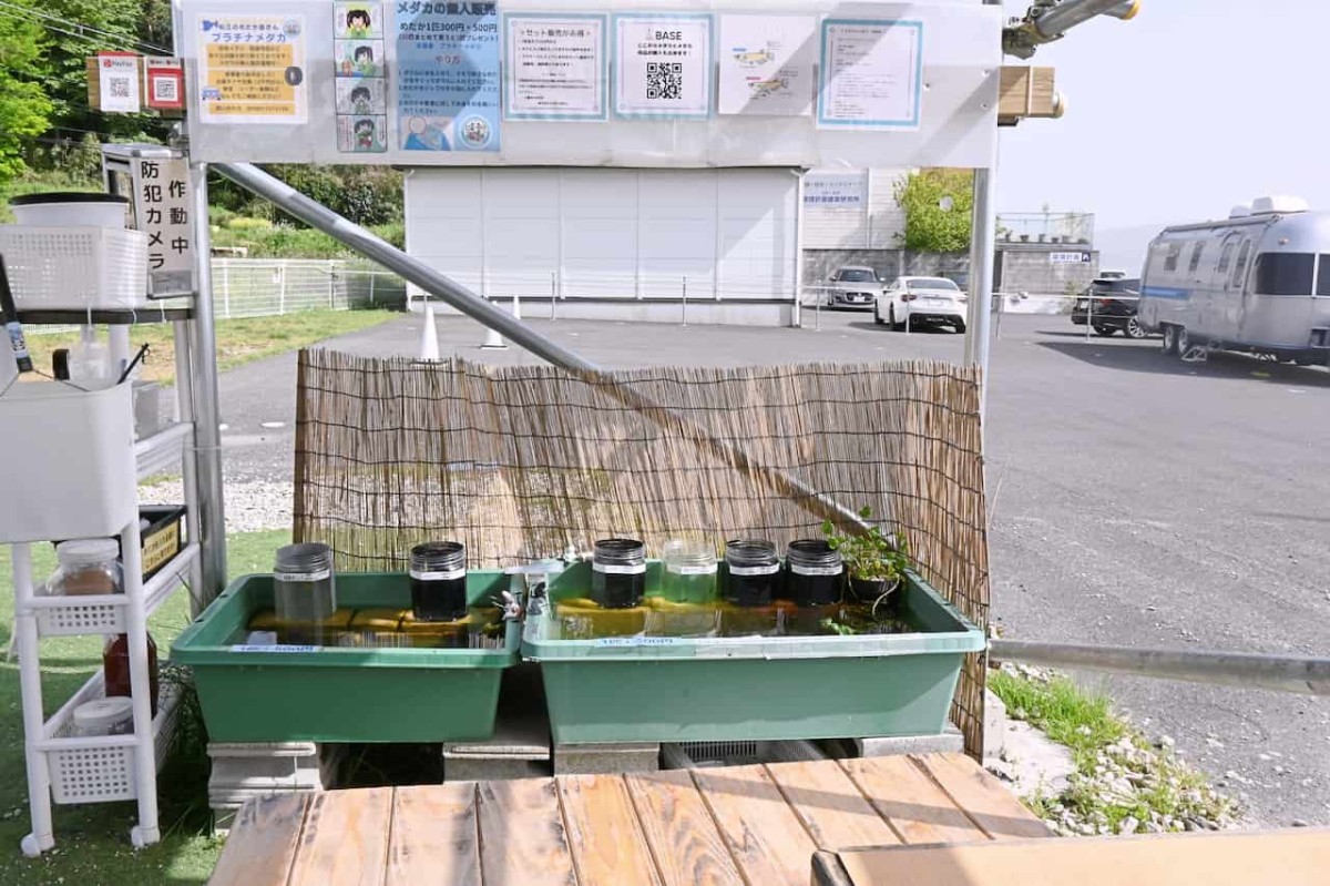 島根県松江市にあるメダカの無人販売所『プラチナメダカ』の外観