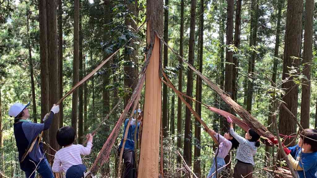 鳥取県八頭郡若桜町のイベント「【要予約】大人の趣味講座「森の手入れ体験」」のイメージ