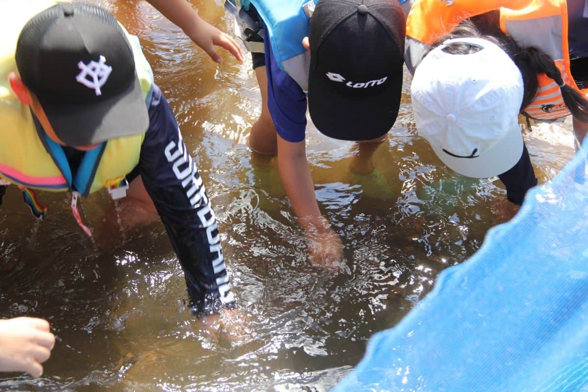 アユのつかみ取りに挑戦中