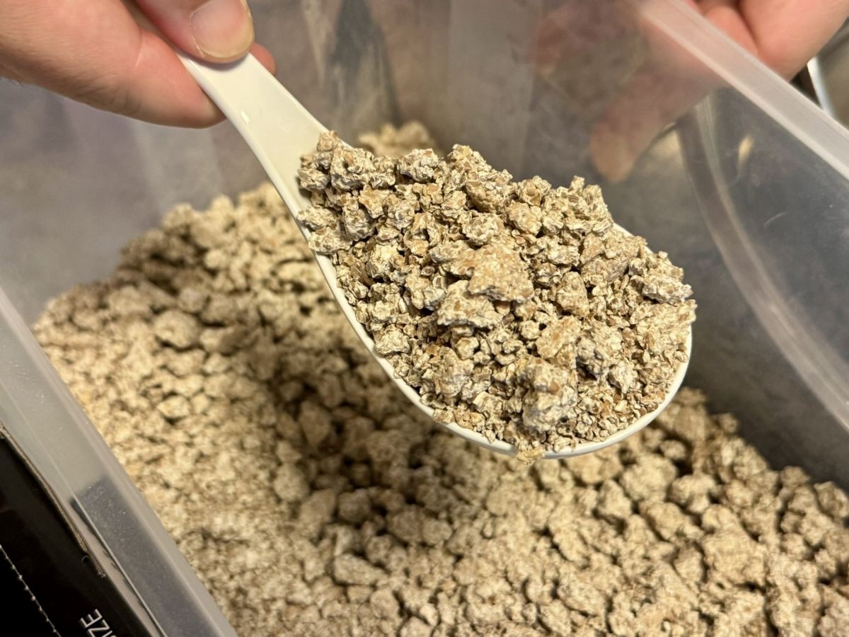 雲南市にある生マッコリ工房「オモナ ヤンジョ」の体験風景