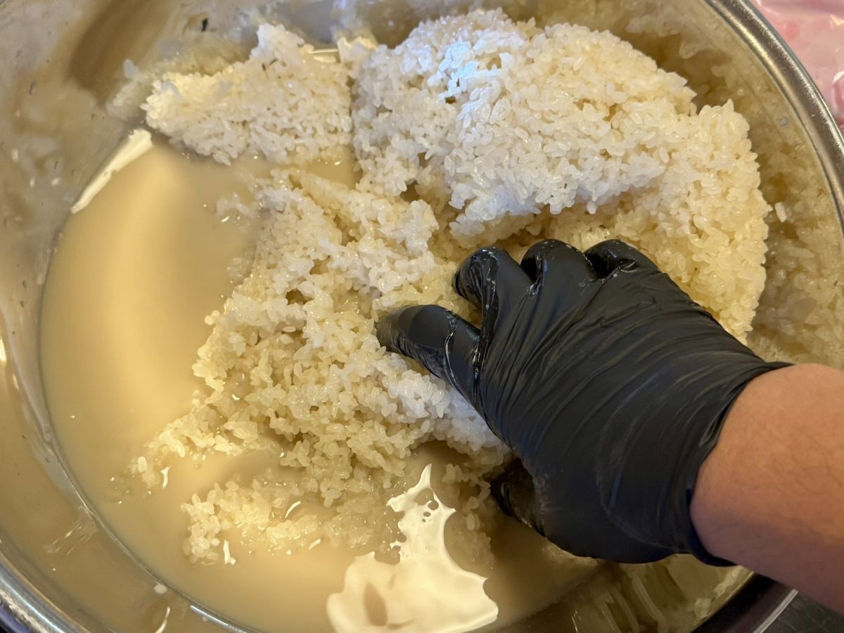 雲南市にある生マッコリ工房「オモナ ヤンジョ」の体験風景