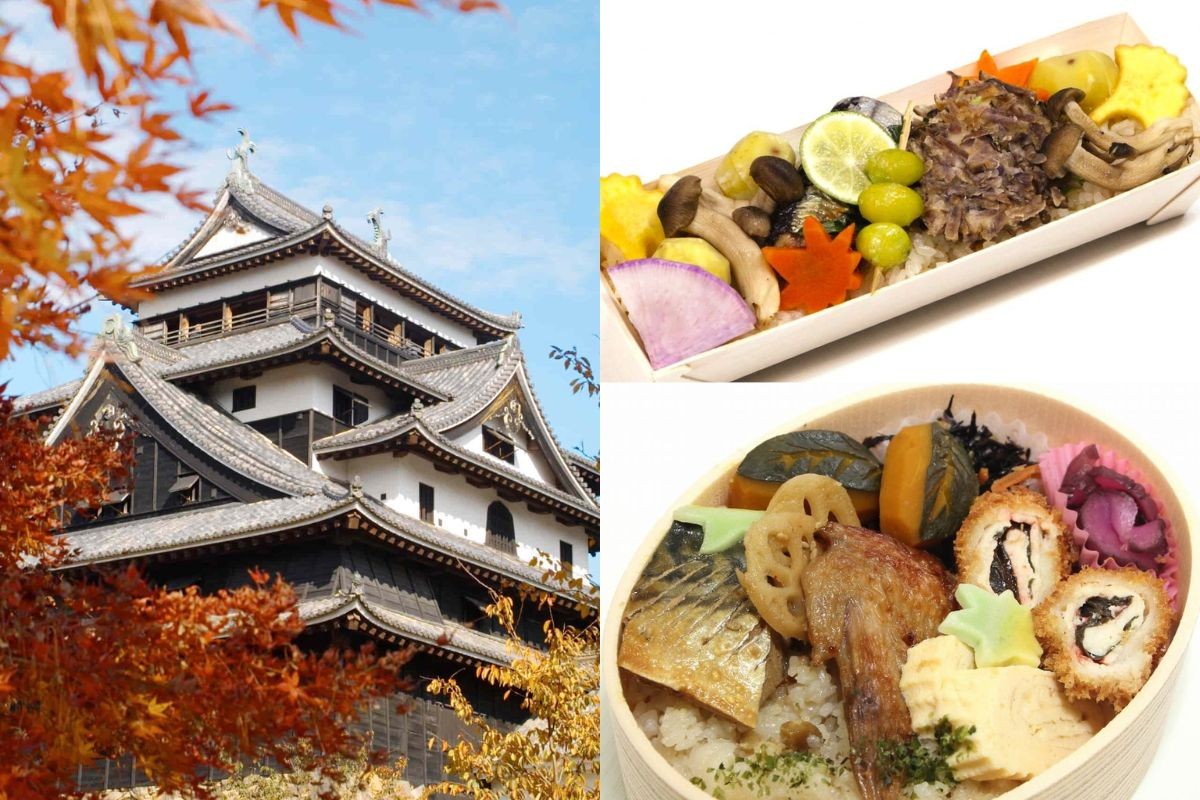 お弁当と松江城山公園の紅葉