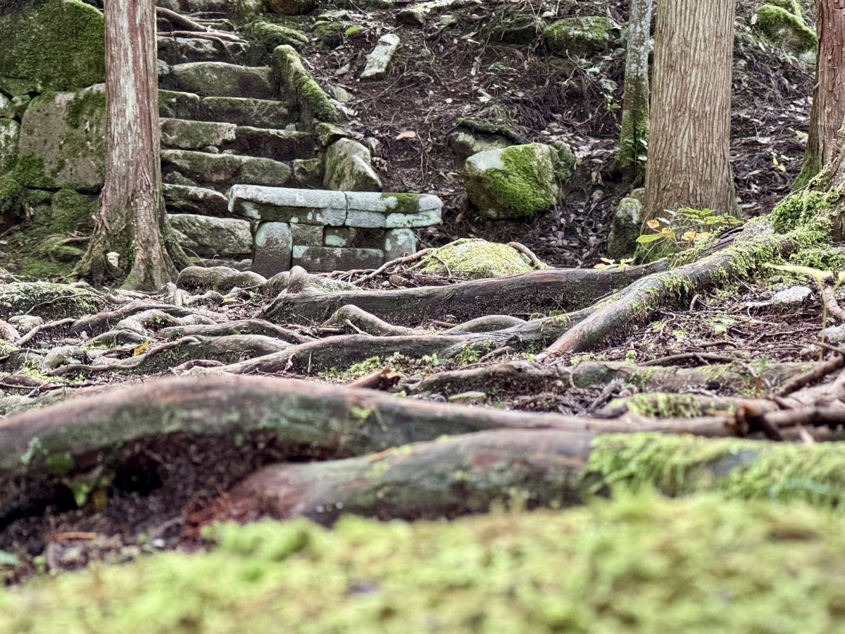 鳥取市佐治町大井にある『熊野神社遺跡』の鳥居