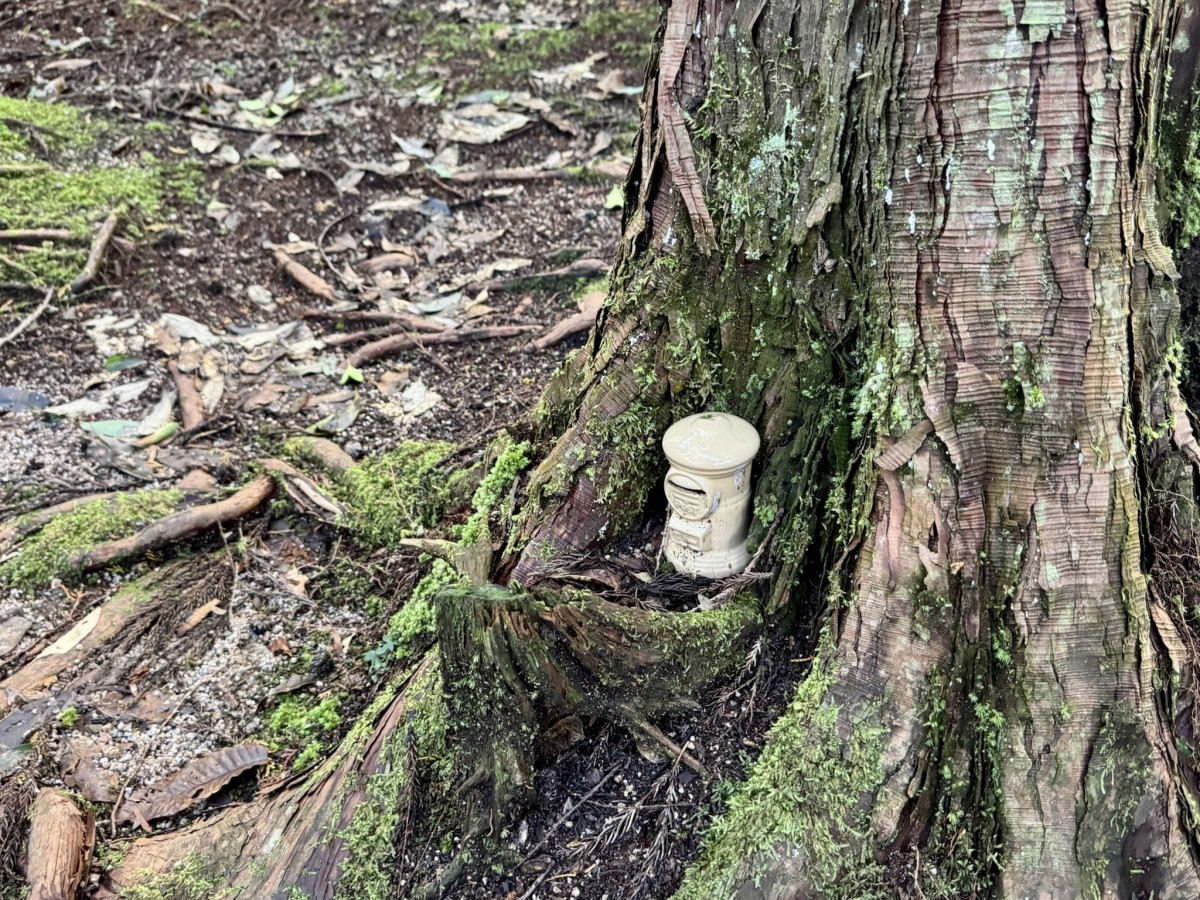 鳥取市佐治町大井にある『熊野神社遺跡』の賽銭箱
