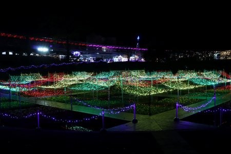 鳥取県南部町『とっとり花回廊』のイルミネーションの様子
