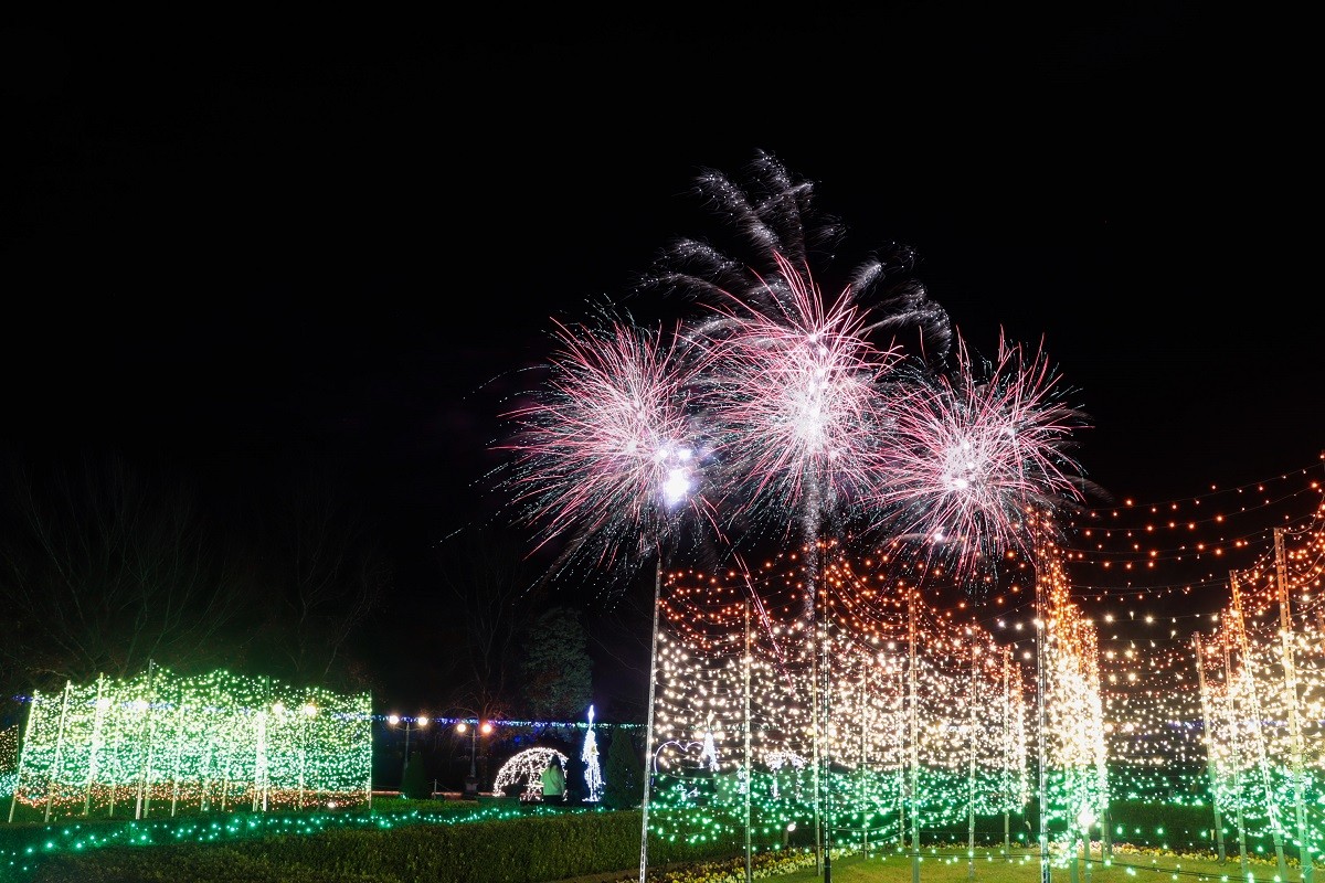 鳥取県南部町『とっとり花回廊』に打ち上がる花火