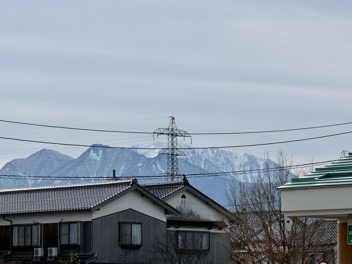 鳥取県琴浦町の「琴浦町役場」近くのひまわり畑から望む大山