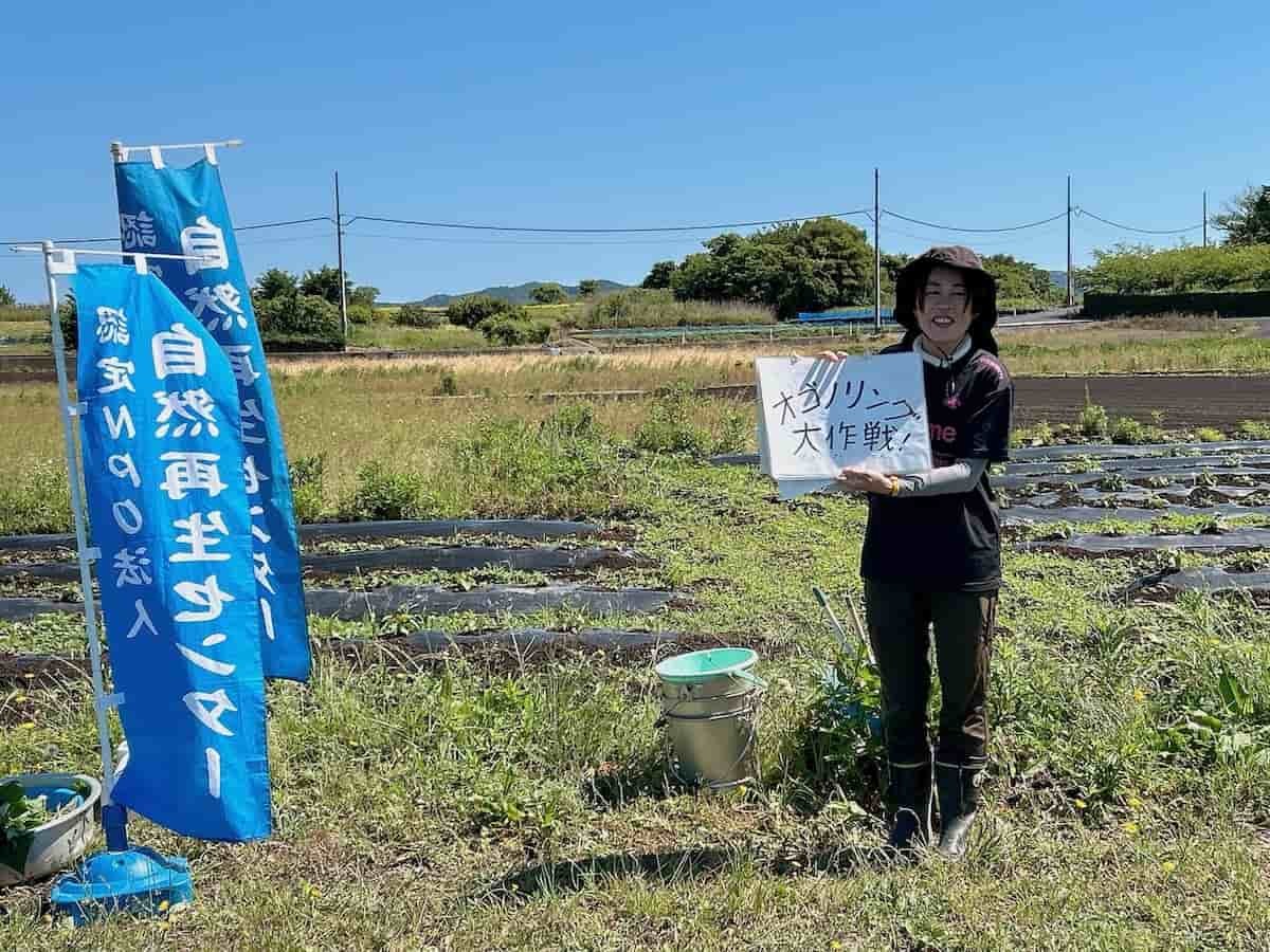 大根島での「さつまいもの苗植え体験」の様子