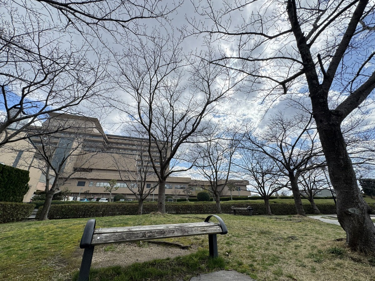 島根県出雲市姫原にある『姫原北公園』の桜