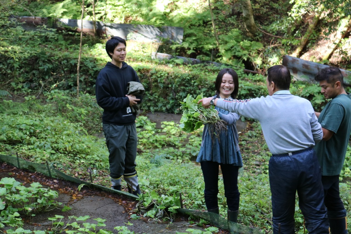 島根県大田市で開催中の半日ツアー「三瓶わさびエクスペリエンス」のツアー中の様子