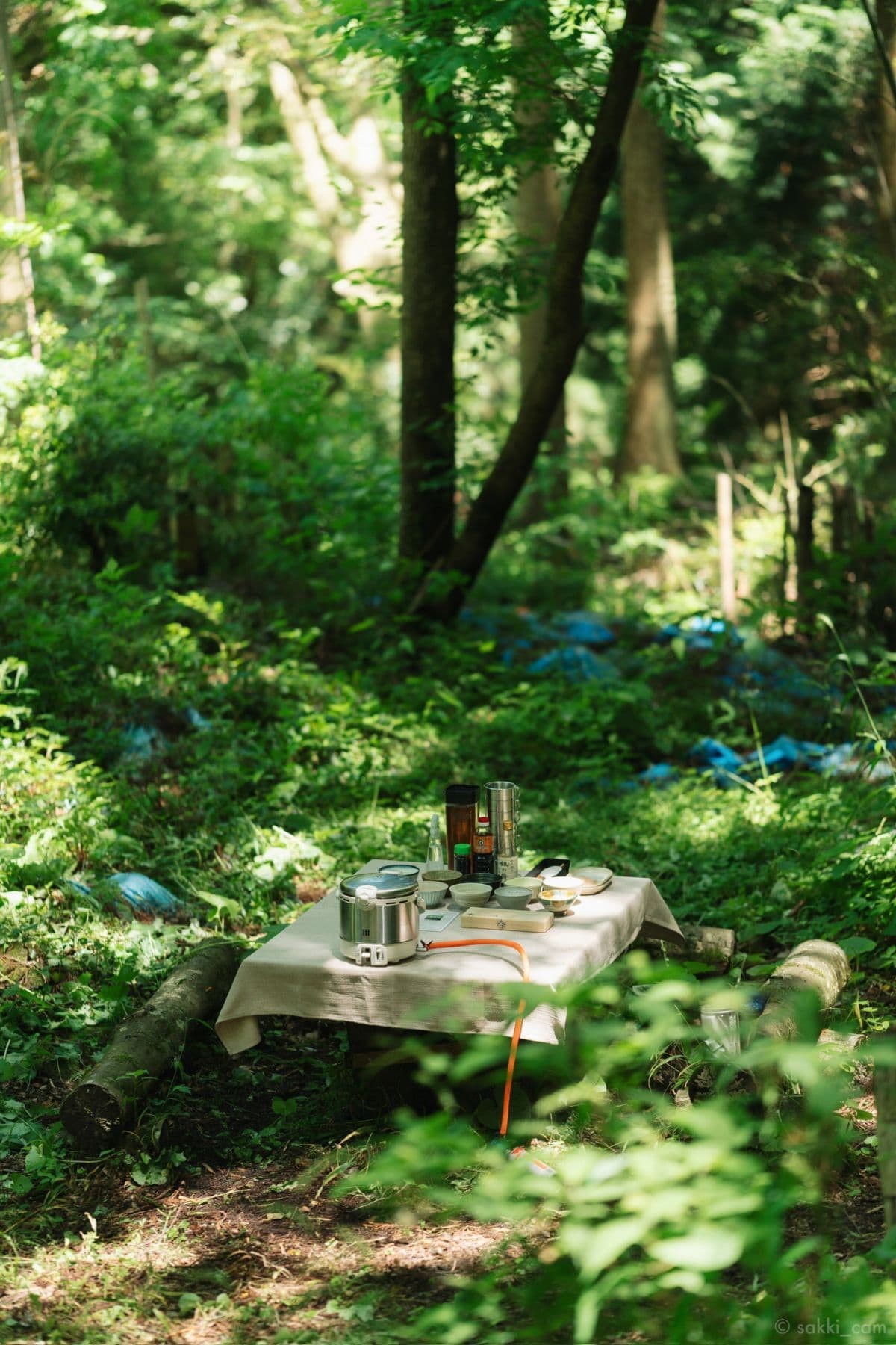 島根県大田市で開催中の半日ツアー「三瓶わさびエクスペリエンス」のツアー中の様子