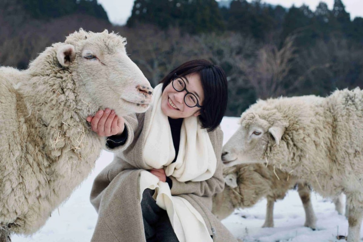 島根県大田市のテキスタイルブランド「KASAGI」で飼育されている羊たち