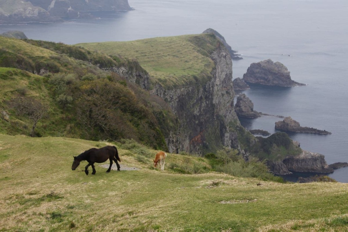 国賀海岸の摩天崖