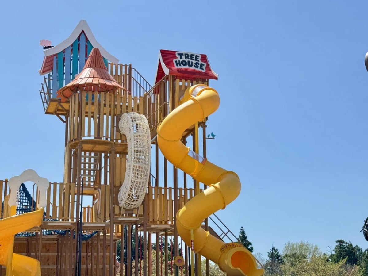 鳥取県伯耆町の遊び場『伯耆町総合スポーツ公園』のリニューアルした大型遊具