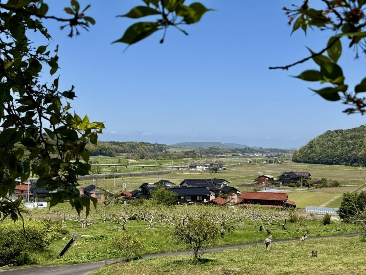 弥勒堂から見える風景