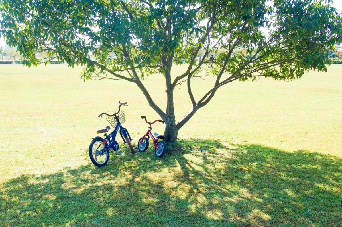 木陰に駐輪した自転車