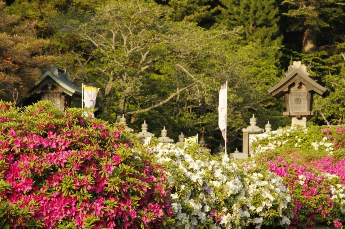 三隅神社の石灯籠とツツジ