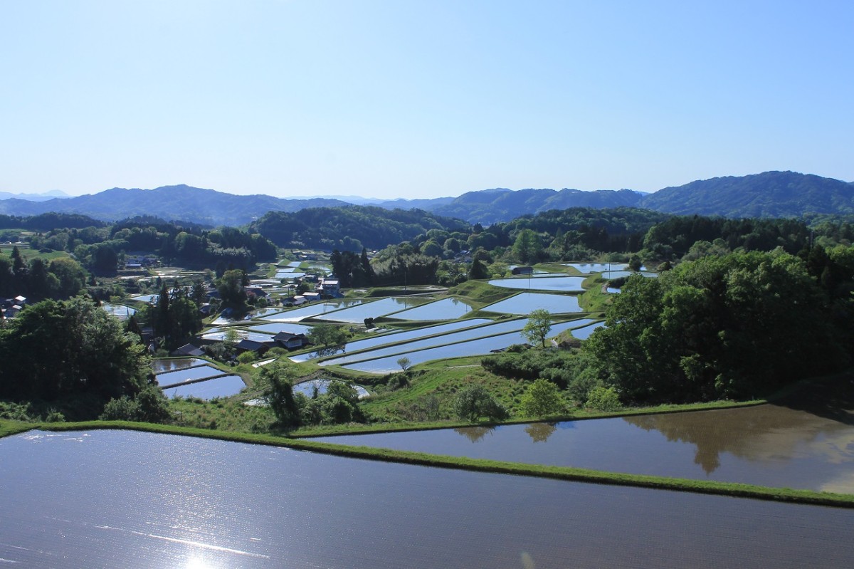 福頼棚田展望だからの眺め