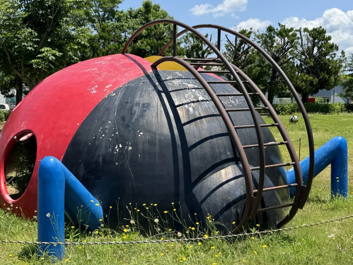 島根県雲南市にある『加茂中央公園』のテントウムシ遊具
