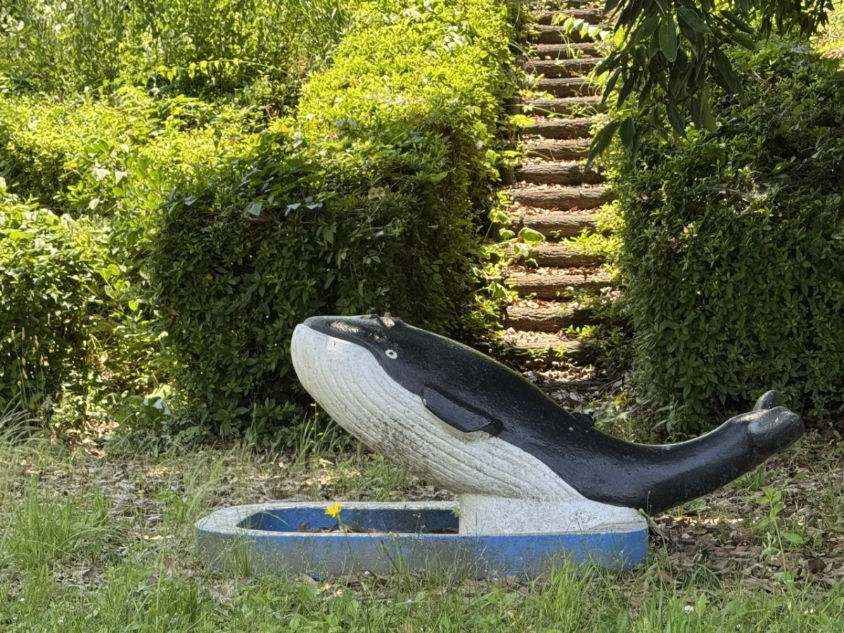 島根県雲南市にある『加茂中央公園』のクジラの水飲み場