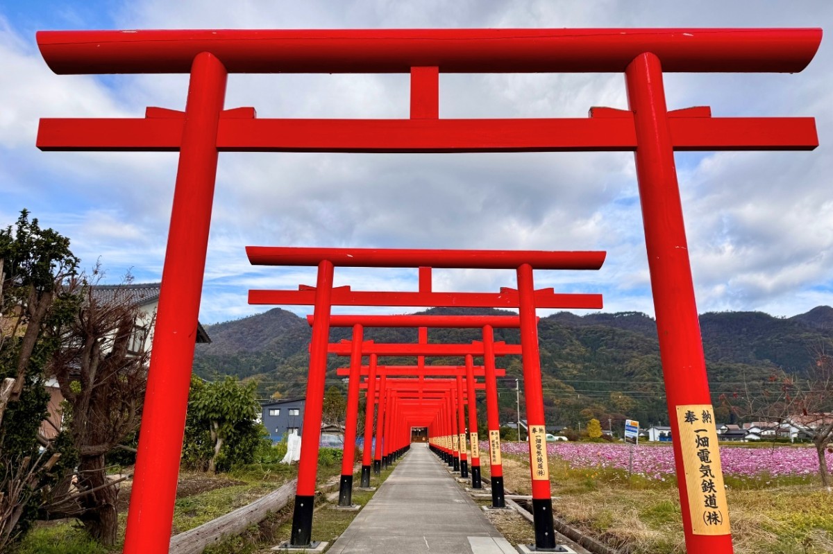 島根県東部のとある神社の鳥居