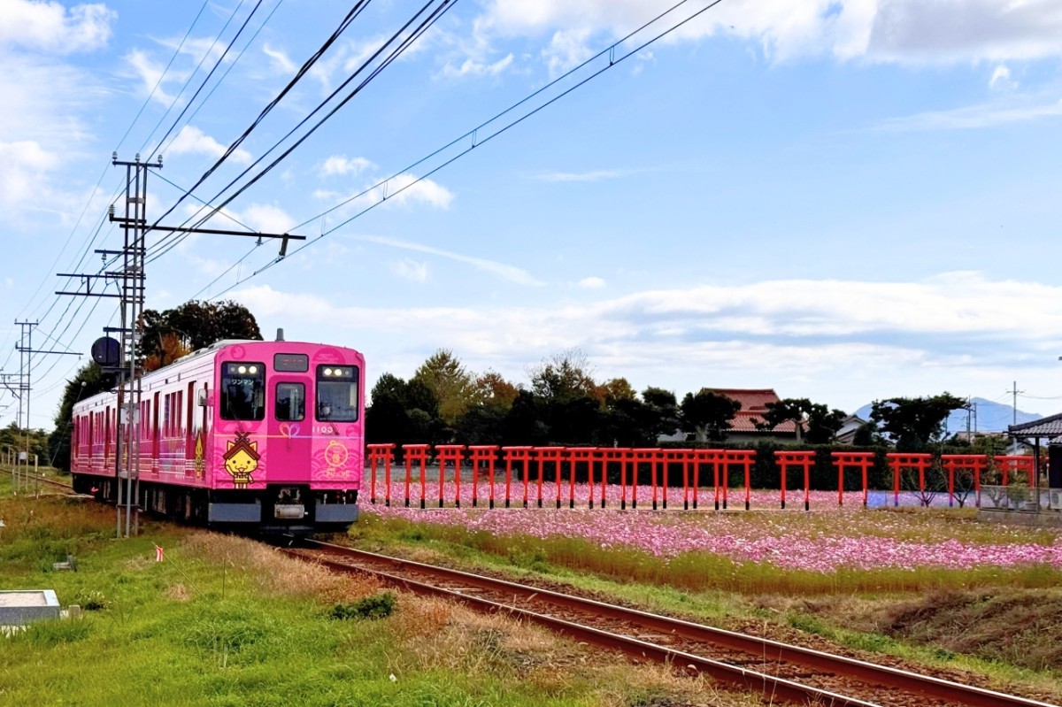 島根県出雲市の粟津稲生神社の鳥居を横切る一畑電車