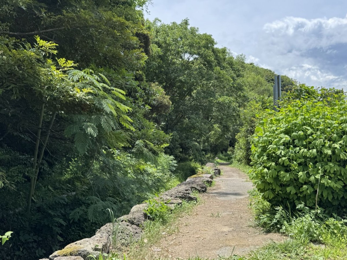 松江市法吉町にある『白鹿ほたるの里公園』の散策路