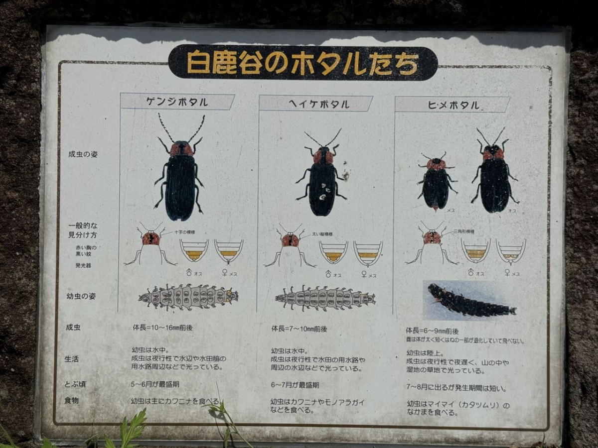 松江市法吉町にある『白鹿ほたるの里公園』の案内板