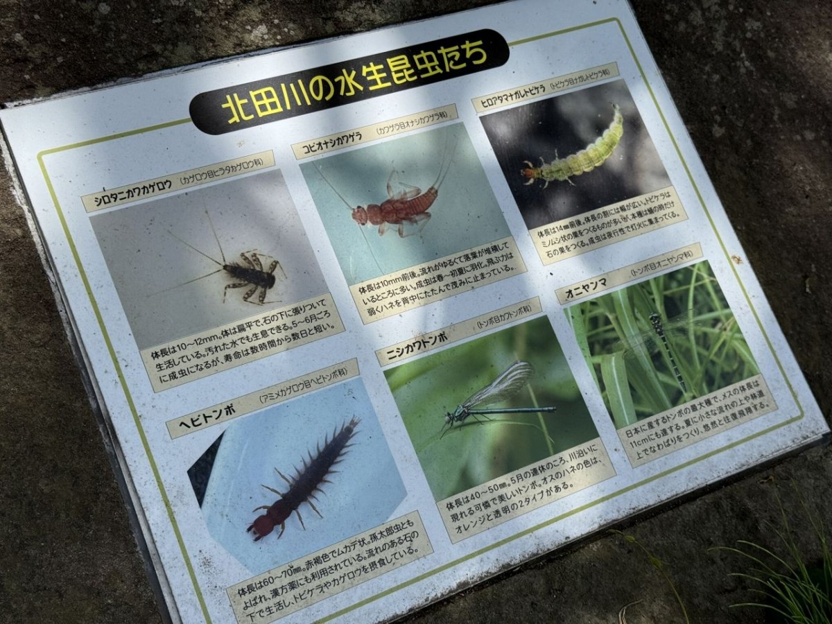 松江市法吉町にある『白鹿ほたるの里公園』の案内板
