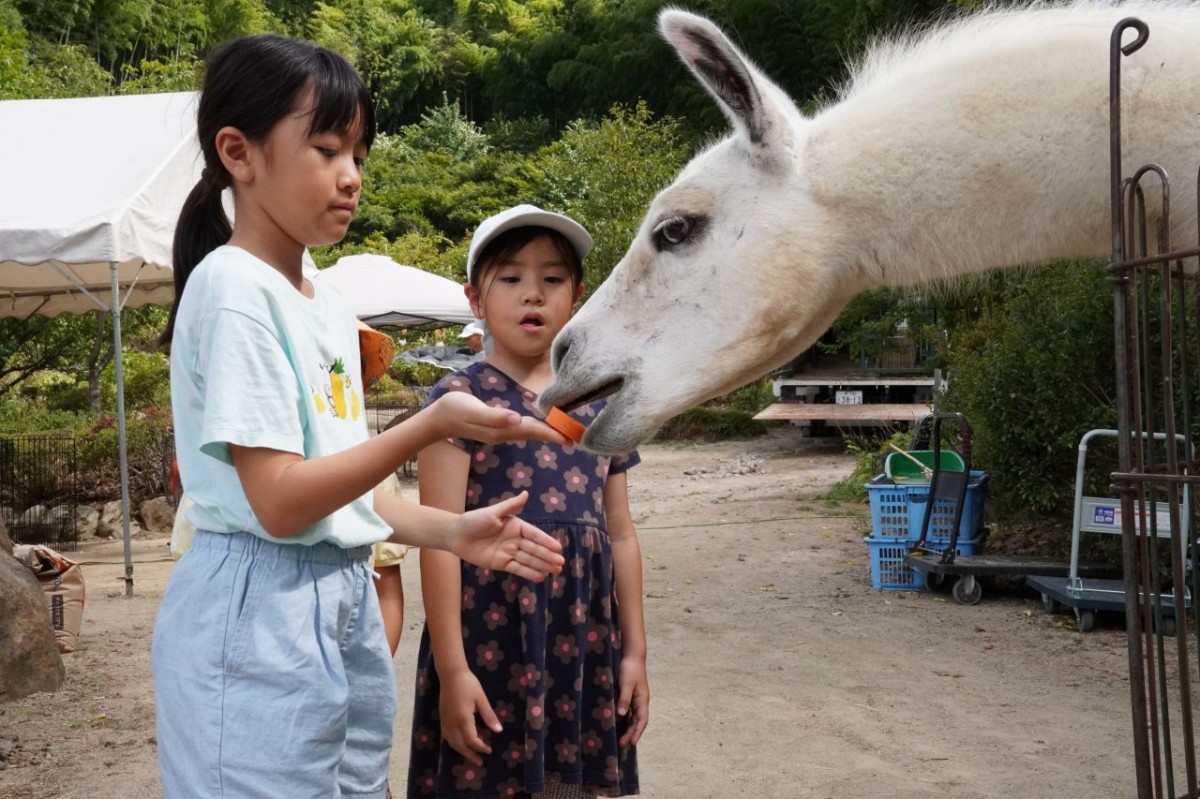 動物にエサをあげている子どもたち