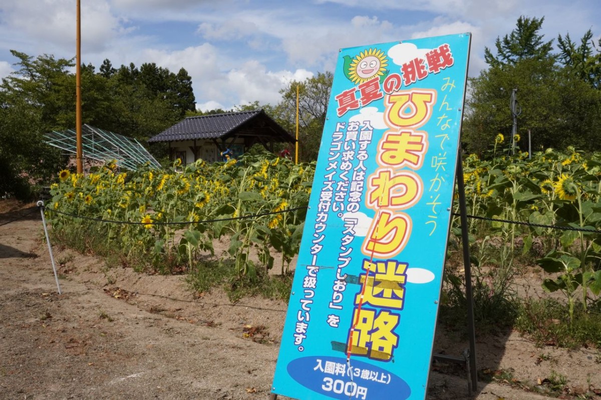 雲南市のレジャー施設「心の駅陽だまりの丘」のひまわり迷路入口