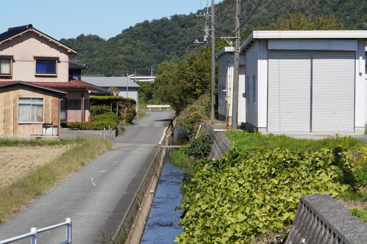岩美町「コスモスロード」までの道