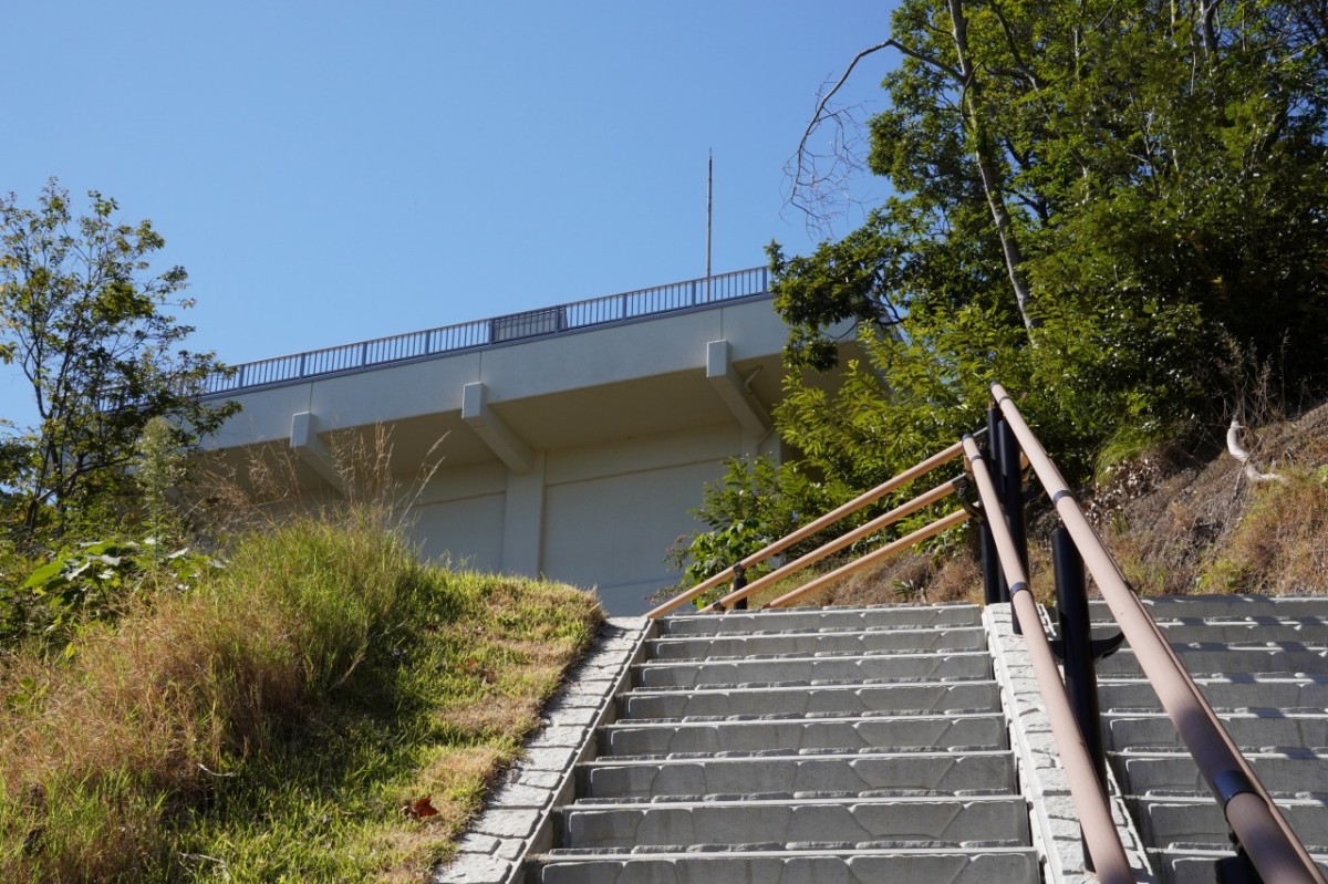 鳥取市の森林公園『とっとり出合いの森』内の「湖山池天空エリア」にある展望台