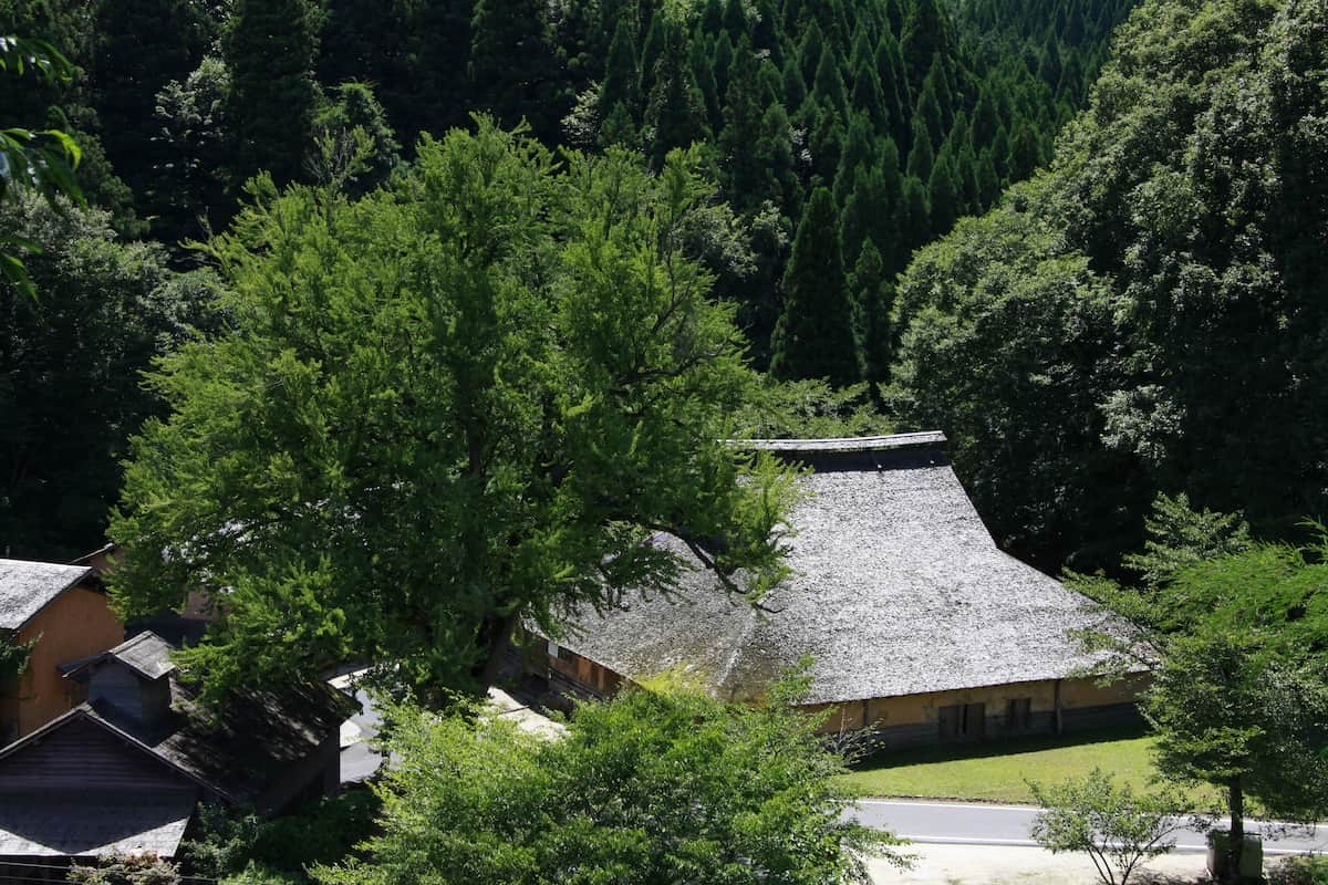 菅谷たたら山内