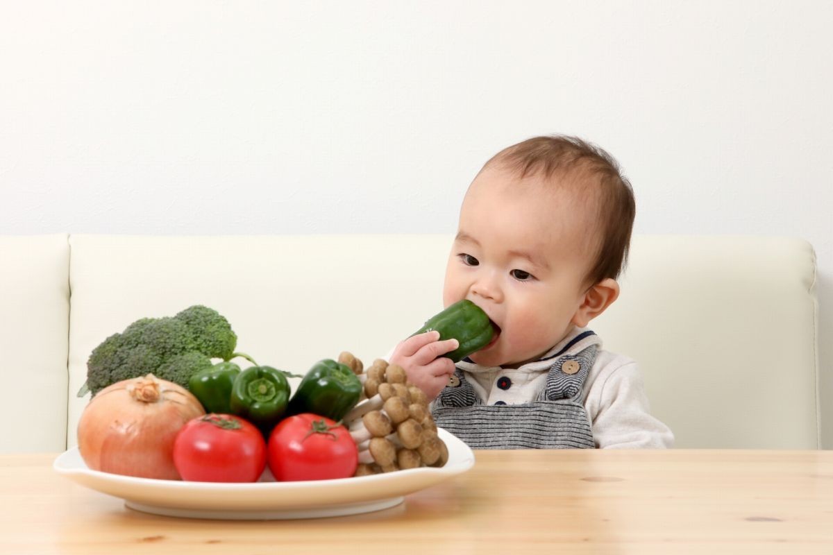 野菜をかじる赤ちゃん