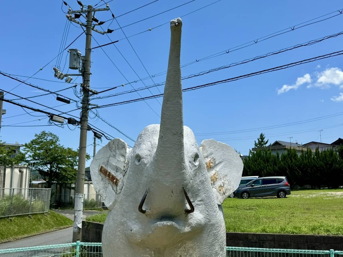 鳥取市面影の『象の公園』にいるゾウ