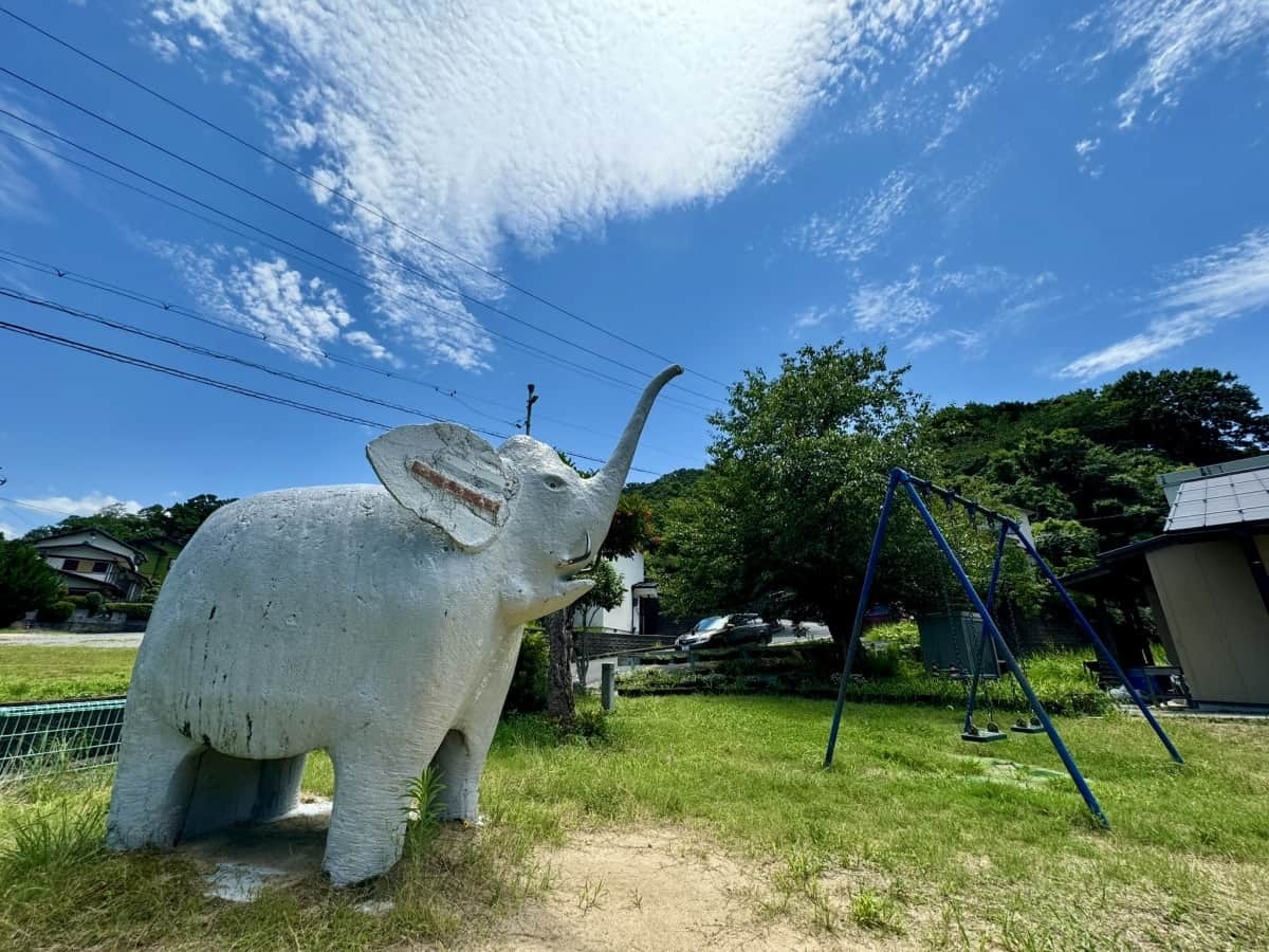 鳥取市面影の『象の公園』にいるゾウ