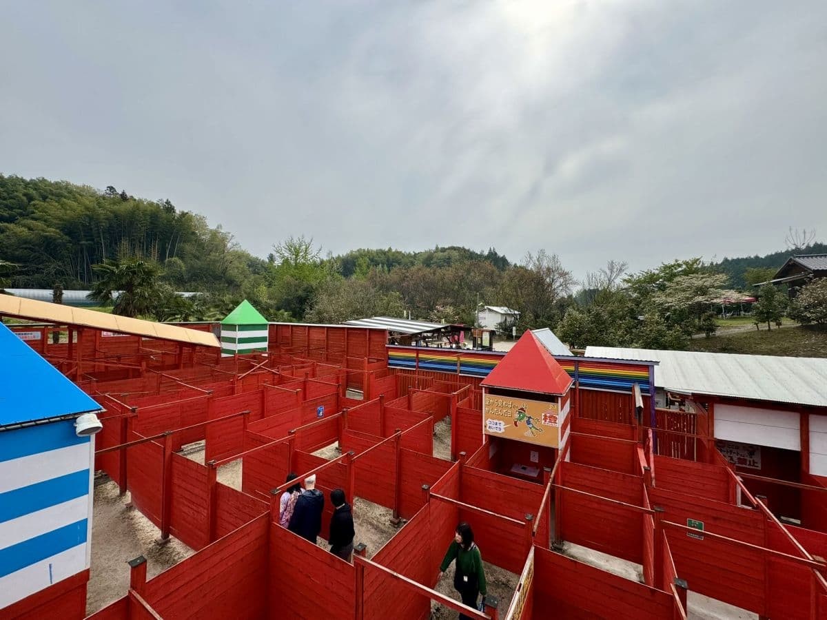 島根県雲南市のB級レジャースポット「巨大迷路ドラゴンメイズ」全景
