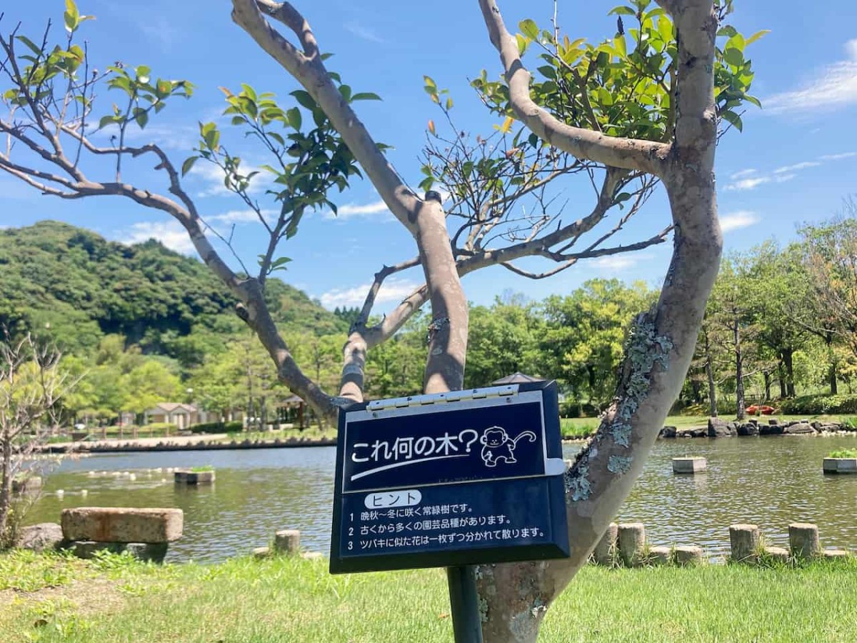 鳥取県東伯郡湯梨浜町にある『あやめ池公園』内にある看板