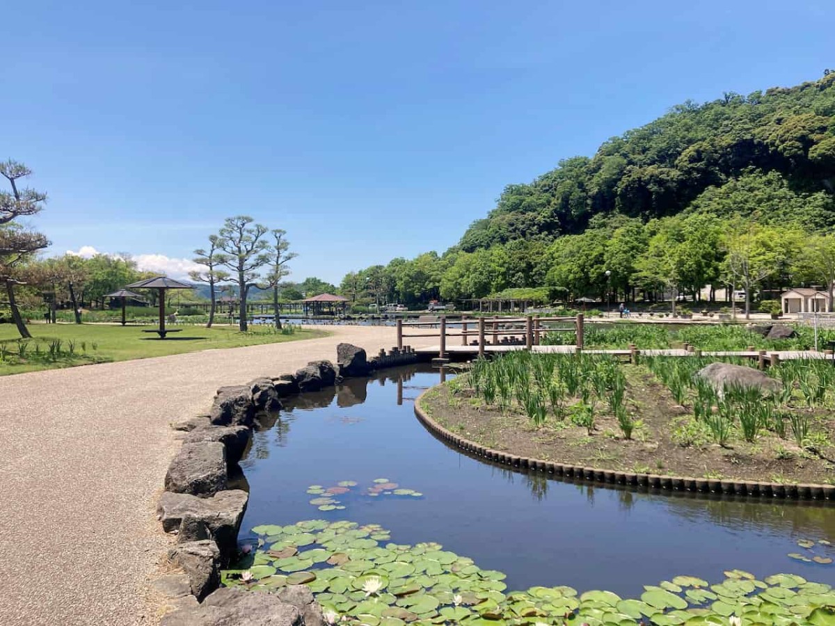 鳥取県東伯郡湯梨浜町にある『あやめ池公園』の様子