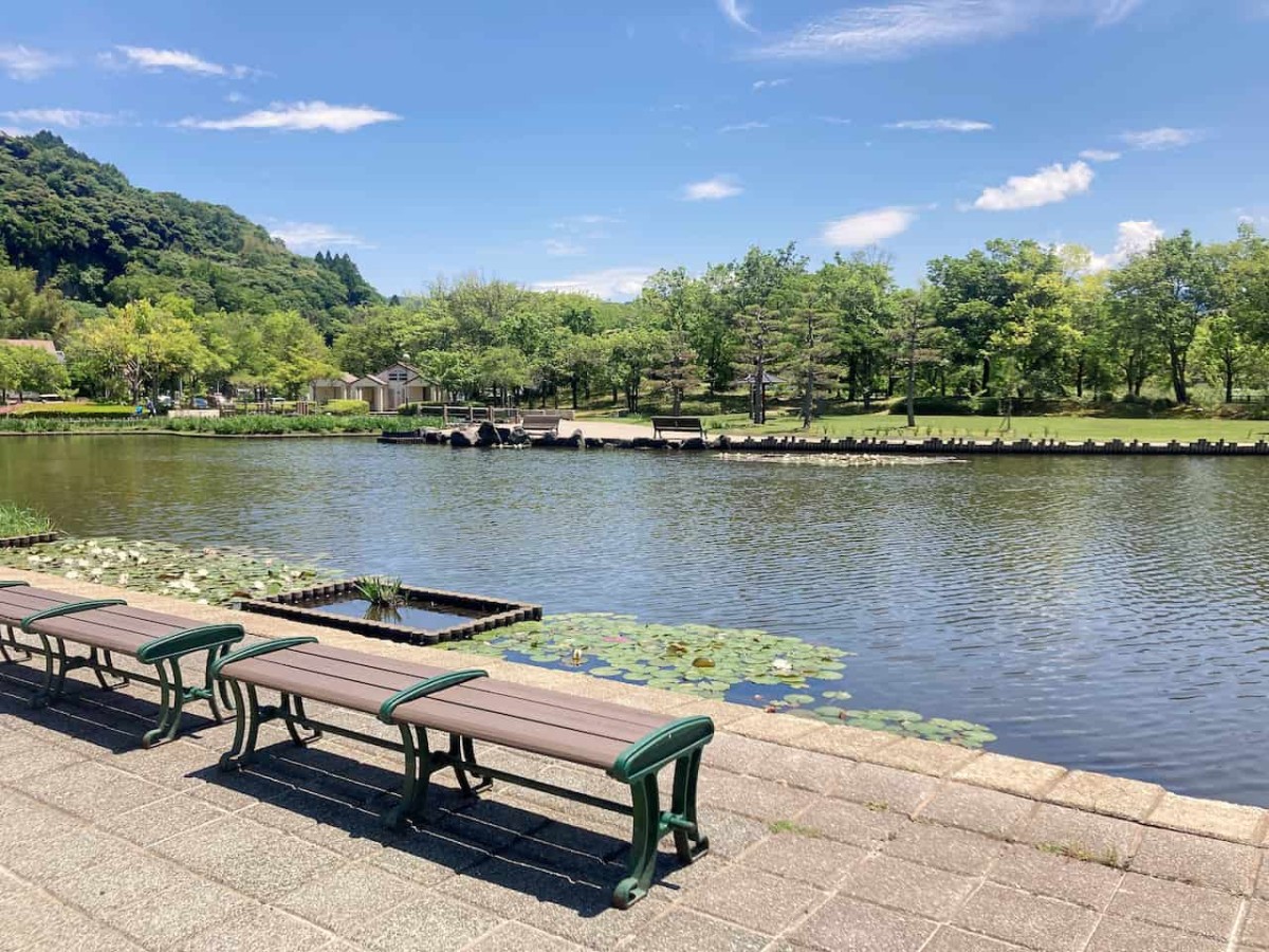 鳥取県東伯郡湯梨浜町にある『あやめ池公園』の様子