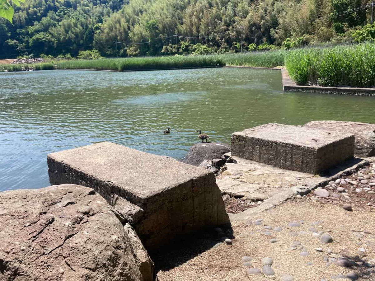 鳥取県東伯郡湯梨浜町にある『宮戸弁天』からの眺め